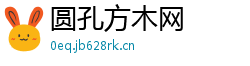 圆孔方木网